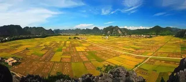 中國(guó)經(jīng)濟(jì)體制改革基金會(huì)全國(guó)第一！中國(guó)改革熱度第三方評(píng)估出爐，云浮宣傳系數(shù)在全國(guó)343個(gè)城市居首位                             