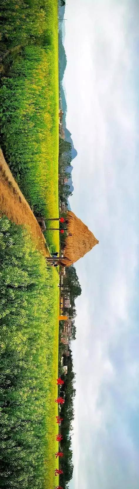 中國(guó)經(jīng)濟(jì)體制改革基金會(huì)全國(guó)第一！中國(guó)改革熱度第三方評(píng)估出爐，云浮宣傳系數(shù)在全國(guó)343個(gè)城市居首位                             